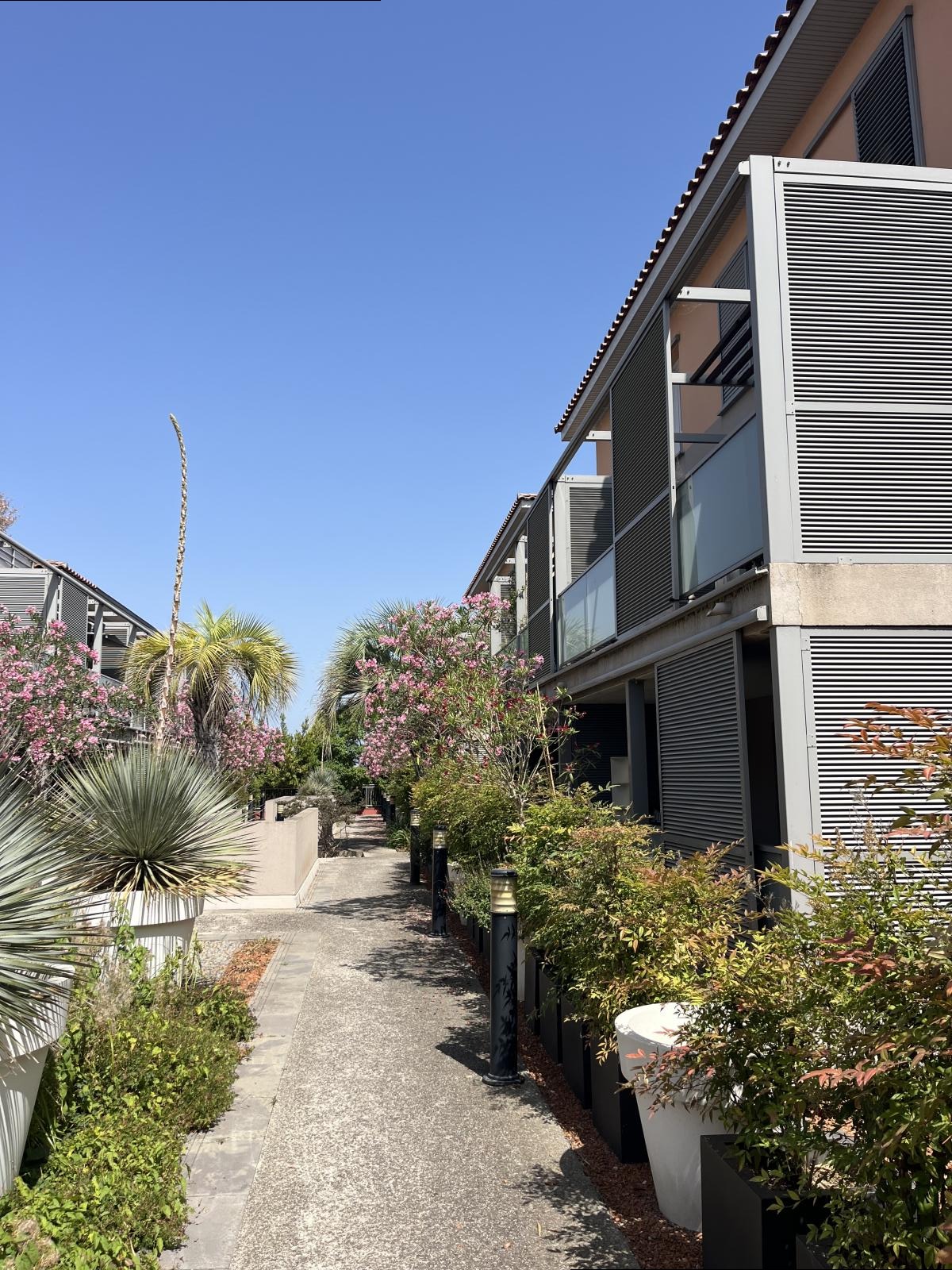 MAUGUIO – Beau T3 avec grande terrasse et piscine